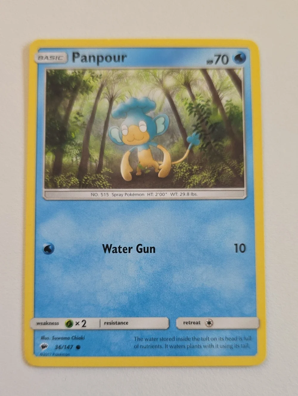 Pokemon Panpour And Simipour Cards